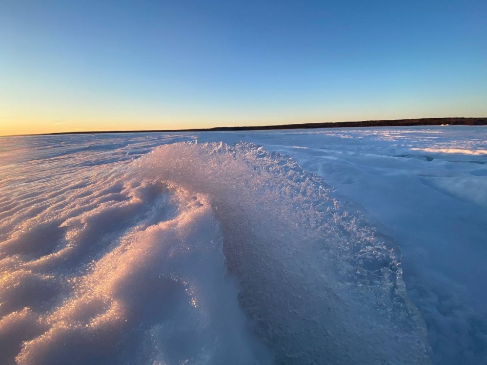 Робот Argo провел восемь месяцев под антарктическим льдом и изменил прогнозы ученых